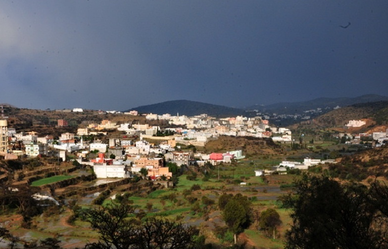 وادي زيد