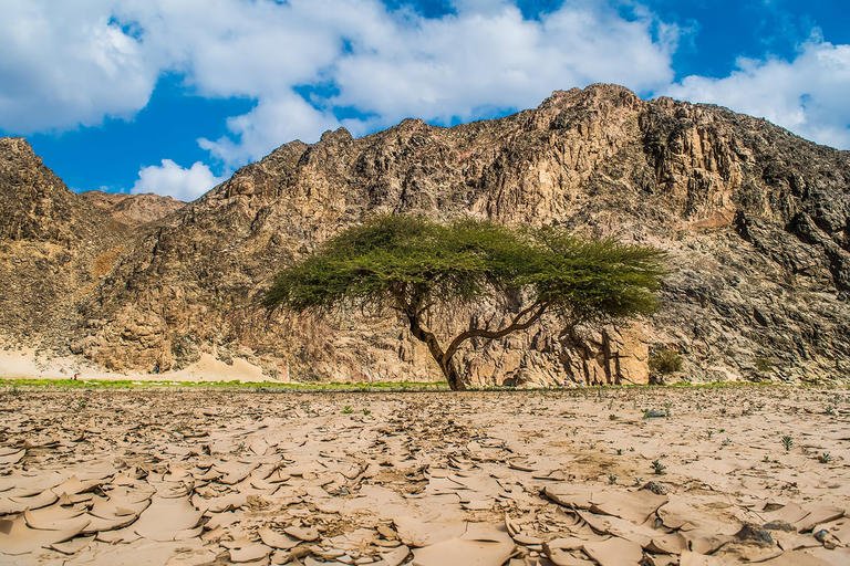 محمية وادي الجمال