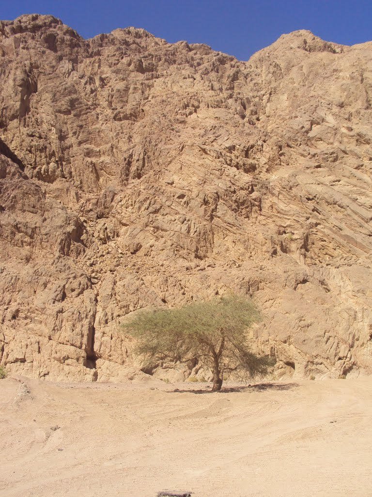 وادي قنى