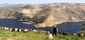 أين يقع سد الملك طلال؟
